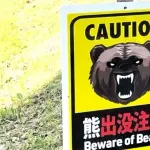 熊が４人襲い住宅に立てこもり　秋田・湯沢の中心部