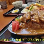 【画像】このレベルのカツカレー大盛り(1000円)に払いたい金額ｗｗｗｗｗｗｗｗｗｗｗ