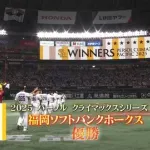 直近9年のパ・リーグ日本シリーズ出場チーム