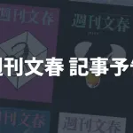【文春砲】奪三振王エース、不倫バレる