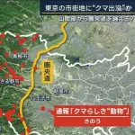 【悲報】クマさん、第一次防衛ライン突破か・・・・・・・