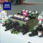 垂れ幕「ボジョレー・ヌーボー」NHK「ボージョレ・ヌーボー」