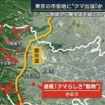 【速報】クマさん、第一次防衛ライン突破か