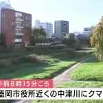 盛岡市役所近くにクマ、　盛岡城跡公園にも出没　住宅地に入り込む　警察や市が警戒　岩手県内でクマの出没相次ぐ