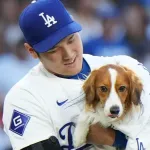 【MLB】大谷翔平へ「FA交渉であげた帽子、デコ用ジャケット返して」ワールドシリーズ前に敵将が舌戦