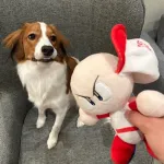 【悲報】大谷翔平、コナミからもらったパワプロくんを犬にあたえてめちゃくちゃにする