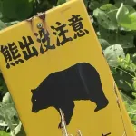 【宮城県】「80センチのクマが50センチの柴犬咥えて森に逃げた」クマも柴犬も行方分から(・(ェ)