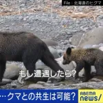 クマさん、人を食べるようになってしまう😭