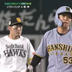 【日本シリーズ】 島田海吏、躍動ｗｗｗｗｗｗｗｗ