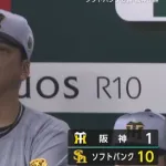 【悲報】阪神、暴投で10失点目