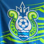 【悲報】湘南ベルマーレJ2降格決定、19試合勝利なし、最後の勝利は5月11日