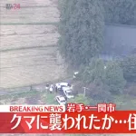 【悲報】クマさん🐻、今日も人間をぶっ殺してしまう