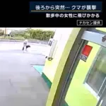 【動画】秋田、もう市街地で散歩すらできなくなるｗｗｗｗｗｗｗｗｗｗｗｗ