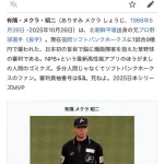 【悲報】阪神ファン、第2戦の主審のウィキベディアを荒らしてしまう