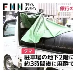 クマさん🐻、ついに銀行にやってくる