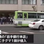 【悲報】岩手銀行地下駐車場にクマ出没中・・・・・・・