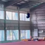 クマ、野球部の屋内練習場でやりたい放題ｗｗｗｗwｗｗｗｗｗｗ