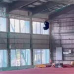 【悲報】クマ、野球部の屋内練習場でやりたい放題