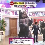 【画像】ツキノワグマ、意外と小さい事が判明。これならG民でも頑張ったら勝てそうｗｗｗｗｗｗｗｗ