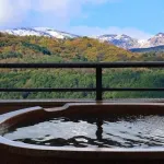 温泉を有り難がる理由が全くわからん