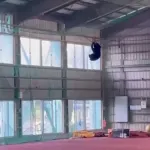 クマ、野球部の屋内練習場でやりたい放題ｗｗｗｗwｗｗｗｗｗｗｗｗｗｗｗｗｗｗｗｗｗｗｗｗ