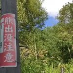 【朗報】秋田市クマ1頭捕獲する度10000円の報酬ｗｗｗｗｗｗｗｗ
