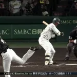 嶺井のフレーミングｗｗｗｗｗｗｗｗｗｗｗｗｗｗｗｗｗ