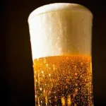 【疑問】ビールって何が美味いんや？ｗｗｗｗｗｗｗｗｗｗｗｗｗｗｗｗ