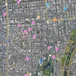 【悲報】札幌すすきのに熊出没