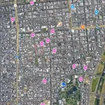 【悲報】札幌すすきのに熊出没・・・・・・