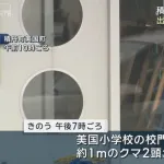 町「小学校に熊が出たの！猟友会さん助けて！」猟友会「ん拒否するゥ」