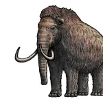 マンモス絶滅（4000年前）　エジプトのピラミッド（4500年前）←これ