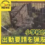 町「小学校に熊が出たの！猟友会さん助けて！」猟友会「ん拒否するゥ」