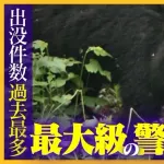 熊を駆除した魚沼市役所に抗議殺到「なぜ殺す？」「麻酔銃で撃って山に返せ」「小熊は殺すな」