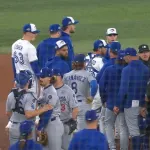 ワールドシリーズ乱闘だあああああああああｗｗｗｗｗｗｗ