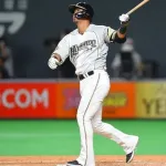 中田翔、総年俸30億円←これどんな感想？？？