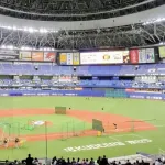 虎ファンで京セラのシーズンチケット買うやつおるんか？