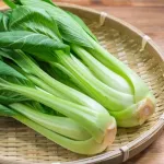 チンゲン菜←こいつバカ美味くね