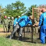 【朗報】自衛隊、クマ退治に参戦決定ｗｗｗｗｗ