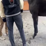 ソフトバンク柳田のオフシーズンの私服ｗｗｗｗｗｗｗｗｗｗｗｗ