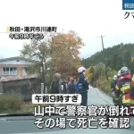 【緊急】秋田の熊さすがにヤバい