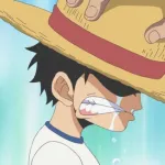 【朗報】　ルフィに学ぶモテ術がコチラｗｗｗｗｗｗｗｗｗｗｗ
