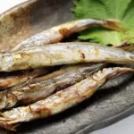 【急募】この世で最も美味しい魚ってなんや？ｗｗｗｗｗｗｗｗ
