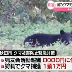 相次ぐクマ被害受け、警察官がライフル銃でクマ駆除検討　来週担当者が現地へ