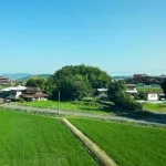 田舎民しか分からんこと