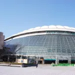 東京ドームで特大ホームラン打った選手