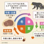 クマさん、逆転満塁ホームランか？猟友会「自衛隊参加反対」
