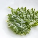 天ぷら屋で一番美味しいのって大葉だよな