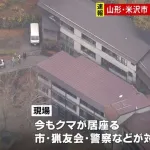 【🧸】山形県米沢市　温泉旅館にクマ居座る