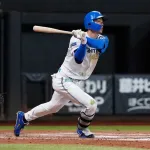 日ハム石井一成（31歳、二遊三、Ｃランク）国内FA権行使。108試合 .259 6 30 ops.689